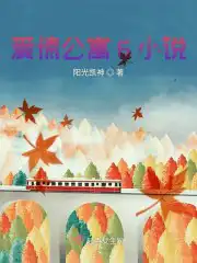 愛情公寓6小說